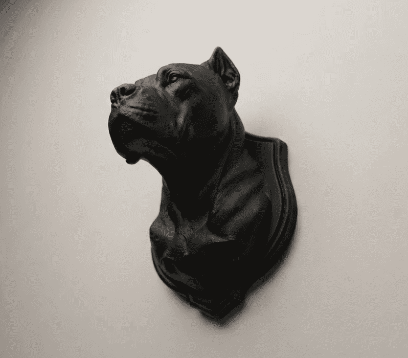 Busto Cane Corso / Pitbull — Scultura da Parete in Resina Nera Opaca - Taraflo