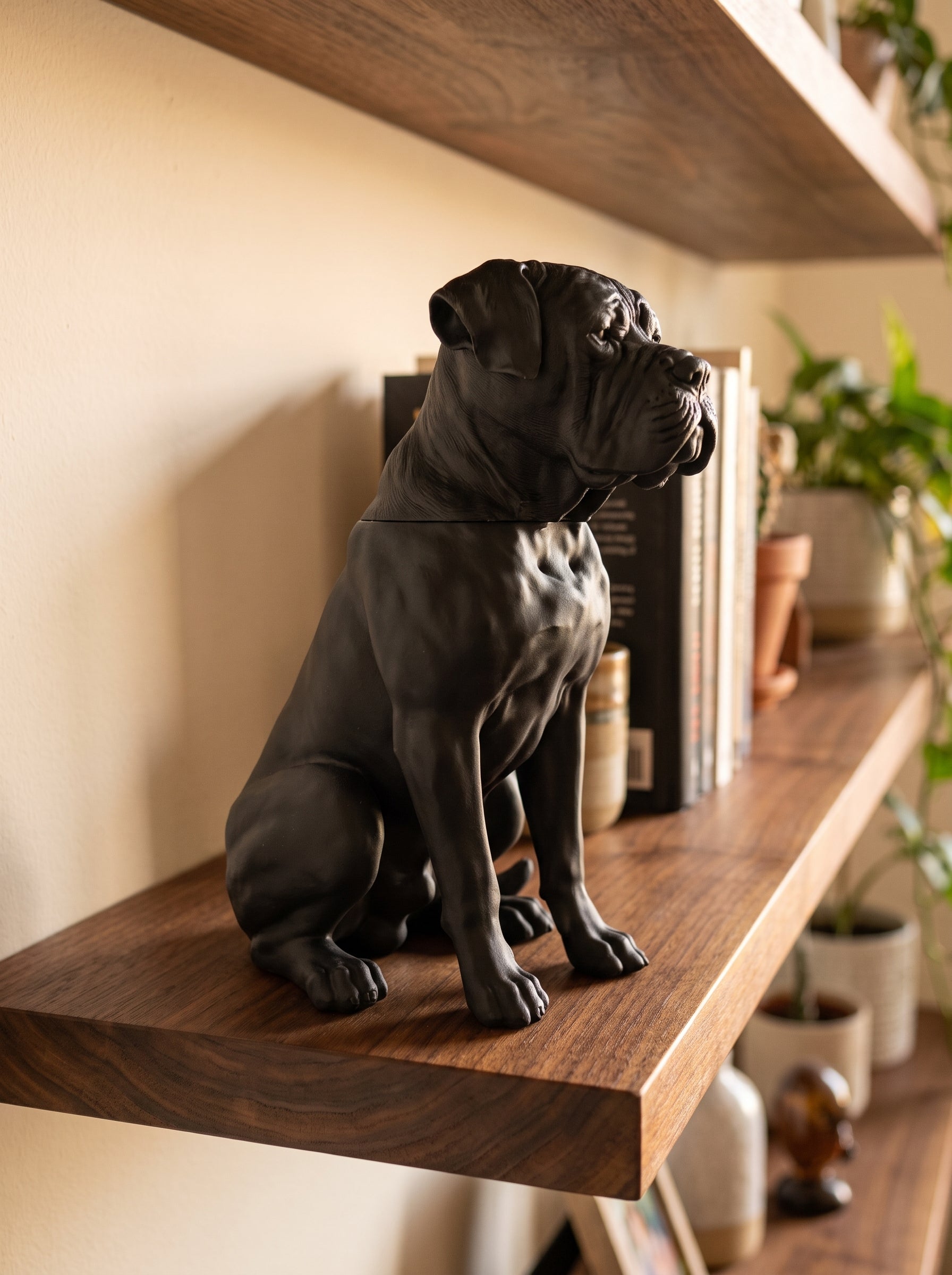 Contenitore Statua Cane Corso Nero, Barattolo Design Moderno con CoperAggiungi un tocco di eleganza misteriosa e funzionalità al tuo spazio con questo esclusivo contenitore ispirato alla potenza del Cane Corso. Perfetto come portaoggetTarafloTarafloUrna per animali - Contenitore Statua Cane Corso