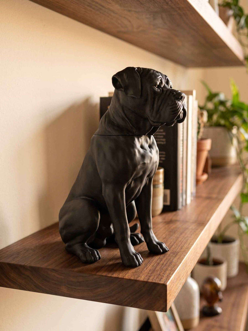 Contenitore Statua Cane Corso Nero, Barattolo Design Moderno con Coperchio a Incastro Quadrato, Scultura Minimalista Mastino, Arredo Casa - Taraflo