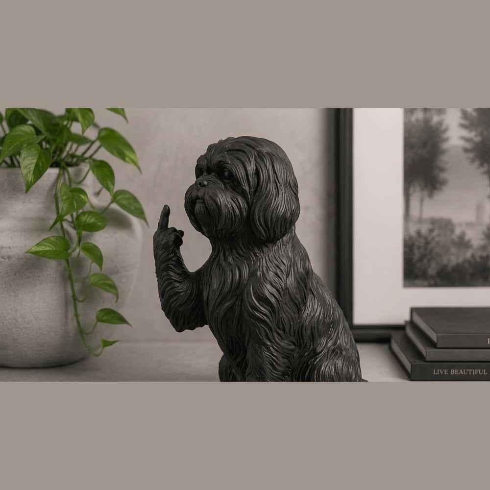 Shih Tzu — Statuetta Cane «Educato… ma non troppo»
