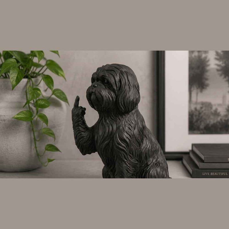 Shih Tzu — Statuetta Cane «Educato… ma non troppo»