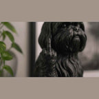 Shih Tzu — Statuetta Cane «Educato… ma non troppo»