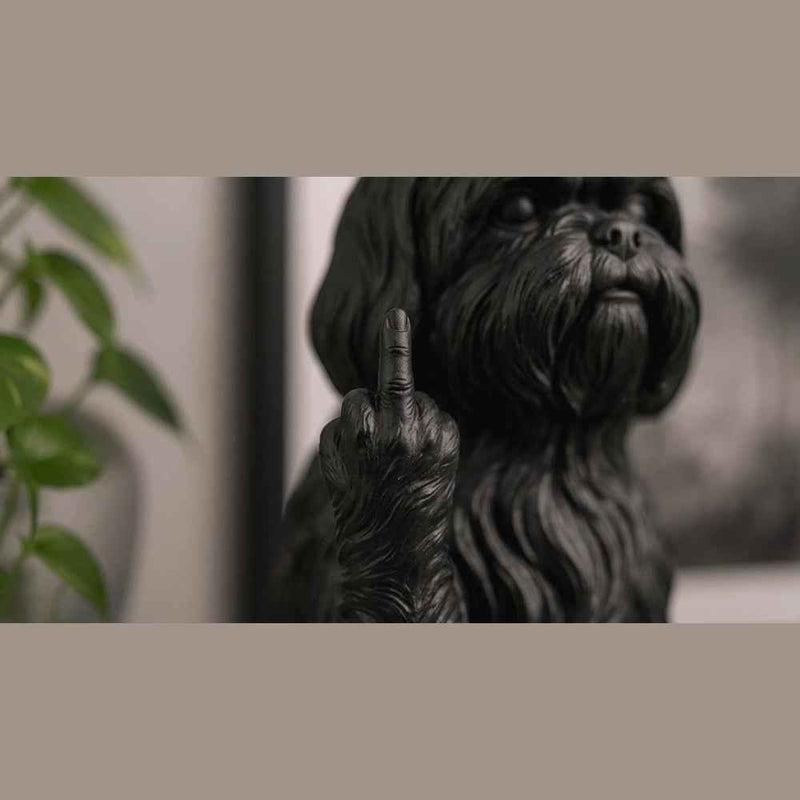 Shih Tzu — Statuetta Cane «Educato… ma non troppo»
