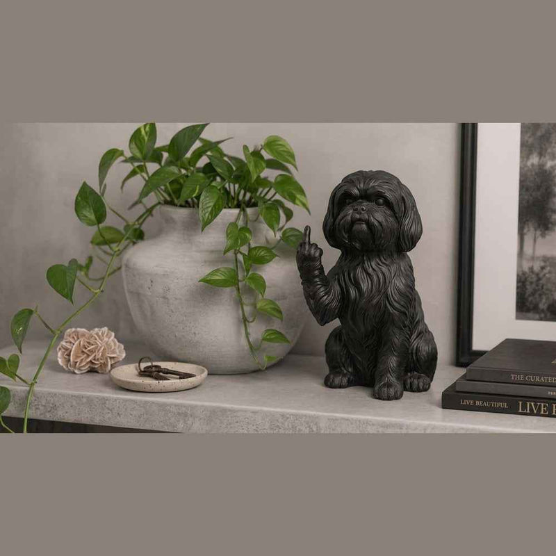 Shih Tzu — Statuetta Cane «Educato… ma non troppo»