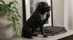 Cane Corso — Statuetta Cane «Educato… ma non troppo» - Taraflo