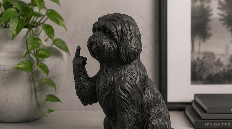Shih Tzu — Statuetta Cane «Educato… ma non troppo»