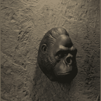Testa di Gorilla «Primal Elegance» — Scultura da Parete in Resina Nera Opaca (25 cm) - Taraflo
