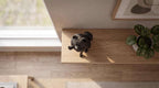 Volpino — Dog Figurine “Well-Behaved… But Not Too Much”