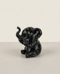 Elefante con personalità