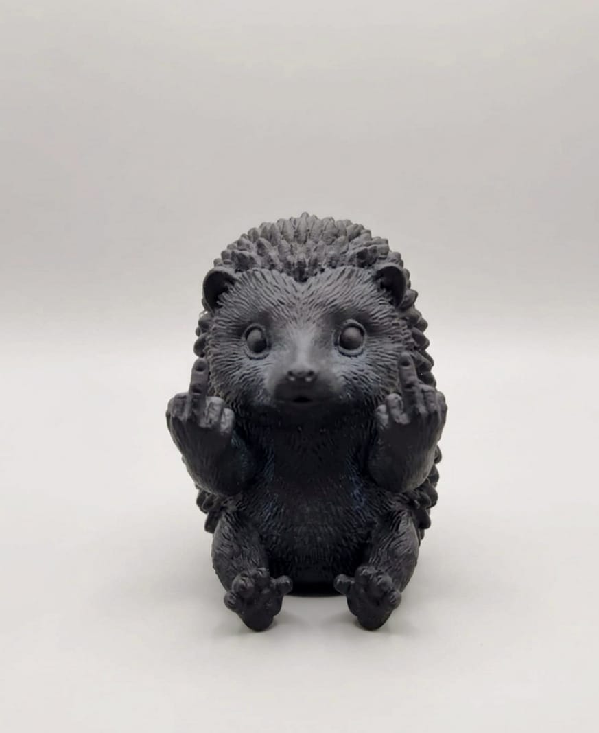 Animali con personalità - Koala
