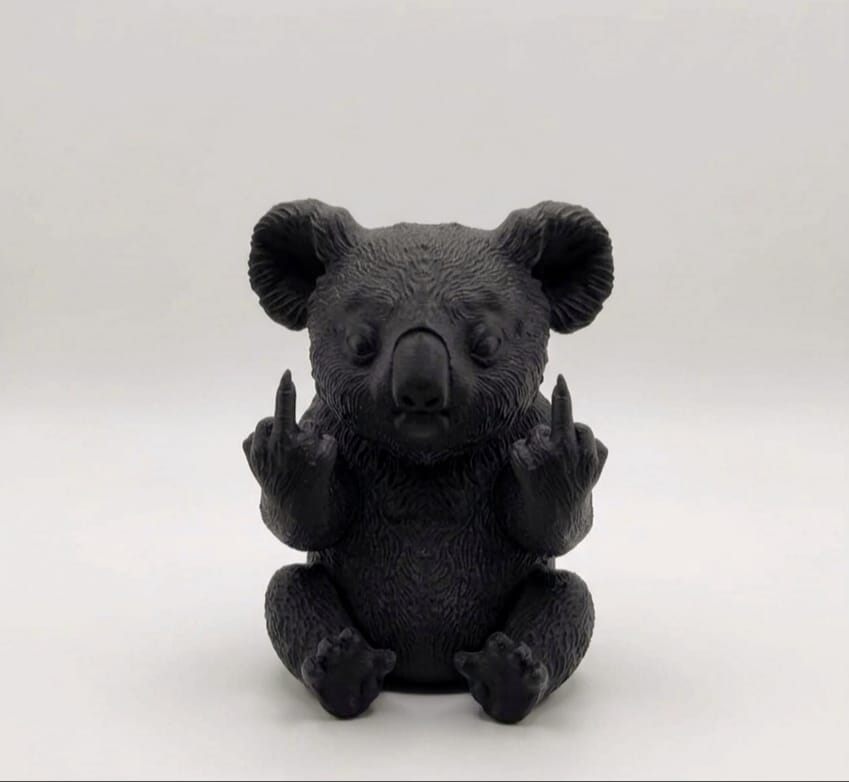 Animali con personalità - Koala