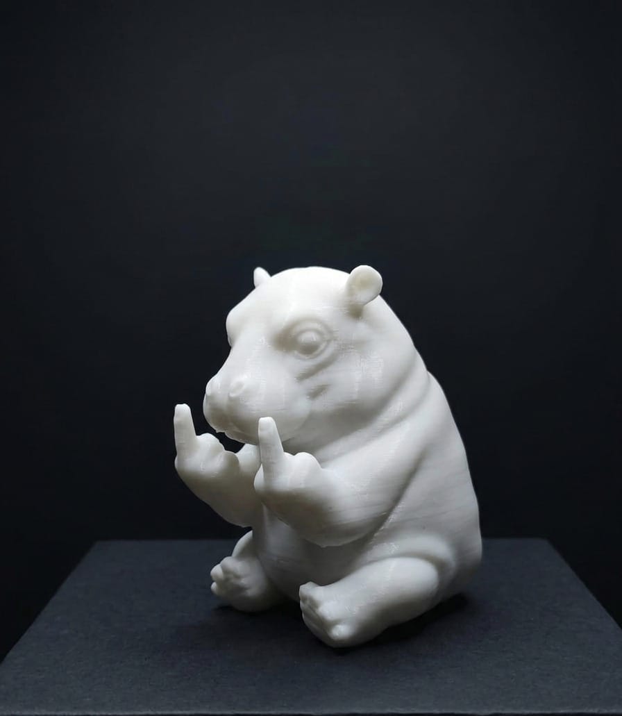 Hippopotame avec de la personnalité