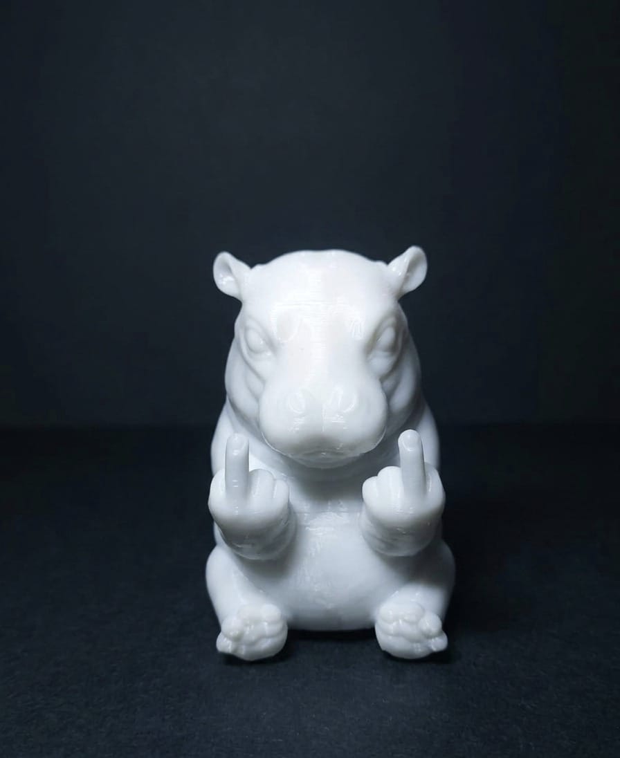 Ippopotamo con personalità