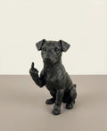 Jack Russel - Cane educato... ma non troppo! | Taraflo