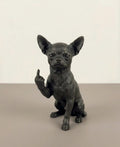 Cane educato... ma non troppo!