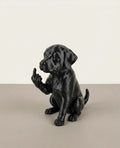Labrador - Cane educato... ma non troppo! Taraflo - Nero