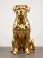 Golden Cane Corso Statue – Luxury Collector's Sculpture | Taraflo