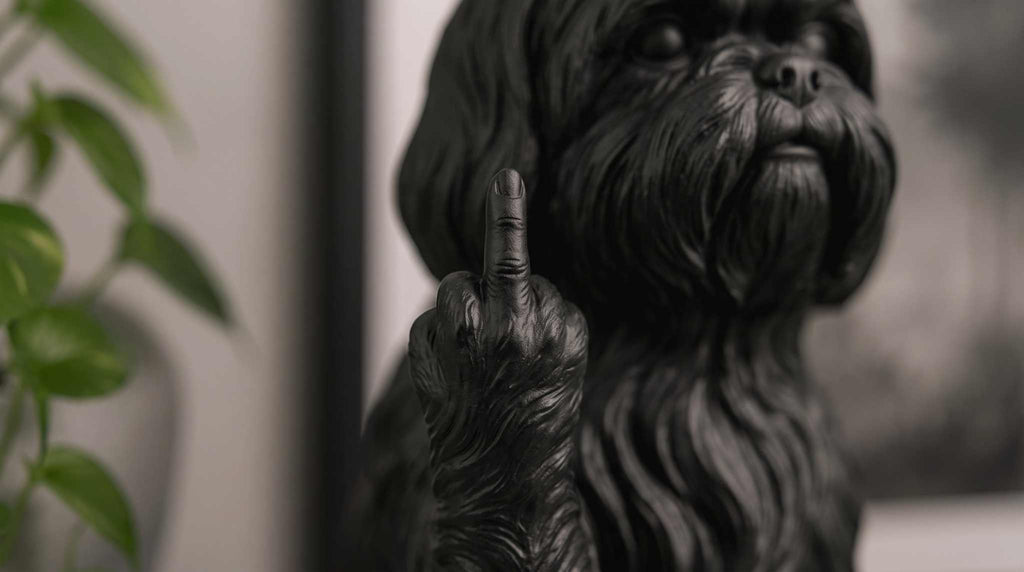 Shih Tzu — Statuetta Cane «Educato… ma non troppo»