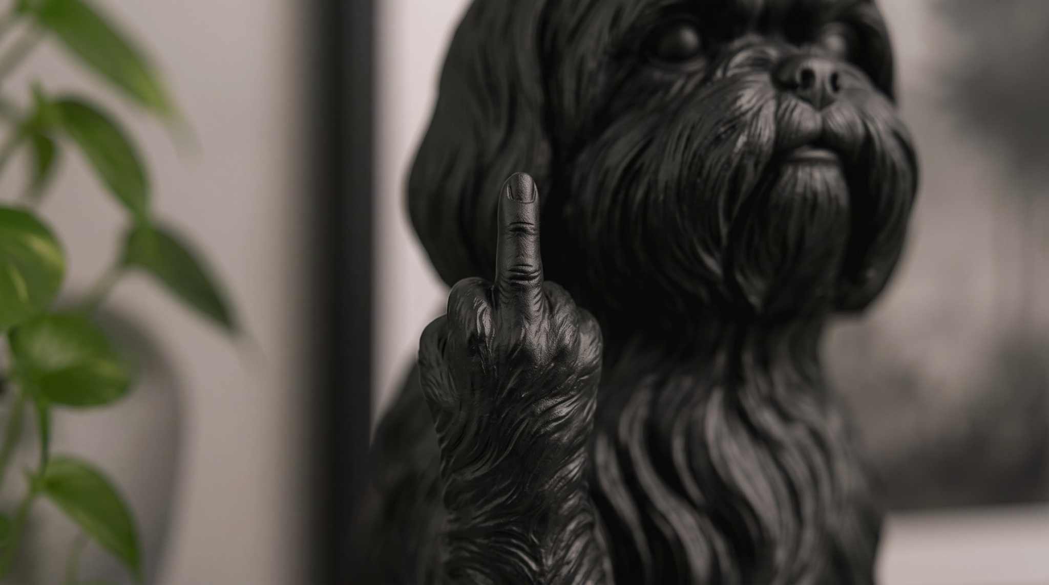 Shih Tzu — Statuetta Cane «Educato… ma non troppo»