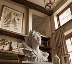 Busto bianco Venere moderna in ambiente con librerie e luce naturale