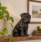 Statuetta Cane Corso Cucciolo in Resina Nera — Scultura Cane Decorativa Moderna