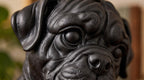 Statuetta Cane Rottweiler Cucciolo in Resina Nera — Decorazione Moderna