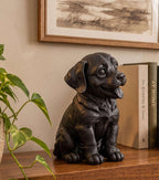 Statua Labrador Cucciolo in Resina Nera Dipinta — Decorazione Moderna