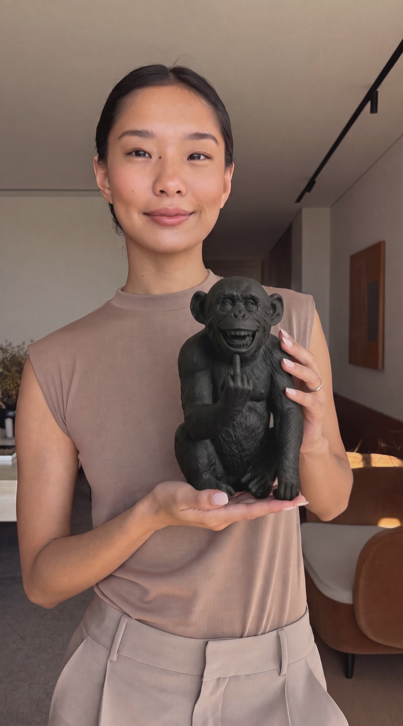 Video: L'Opinione del Primate — Scimmia Maleducata in Resina - Taraflo