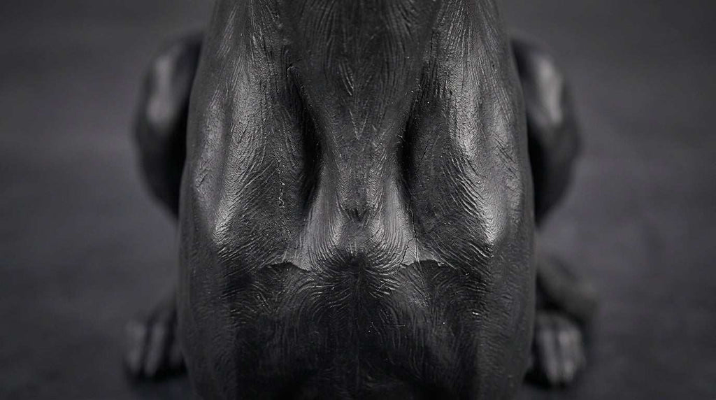 Statua Levriero | Design ModernoLinee essenziali, portamento nobile e una finitura profonda che cattura lo sguardo senza riflettere la luce: la scultura del Levriero Seduto Taraflo ridefinisce il cTaraflostatua levriero design