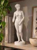 Statua Venere Bianca in Resina Effetto Gesso, Posa di Profilo — immagine 2